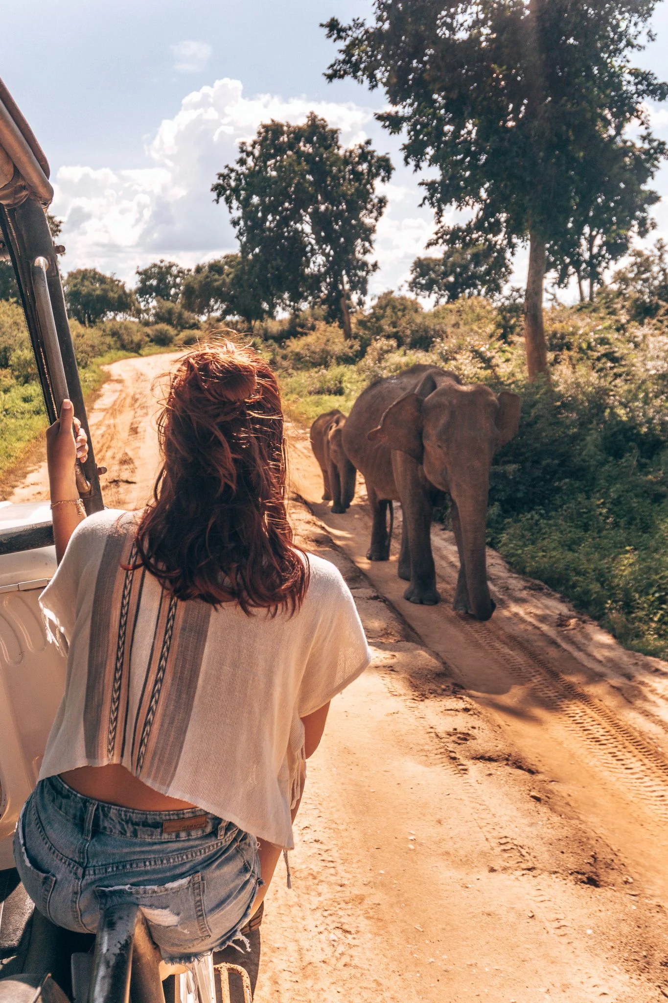 jeep safari tours