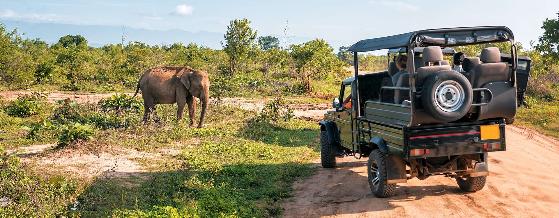 Udawalawe Safari